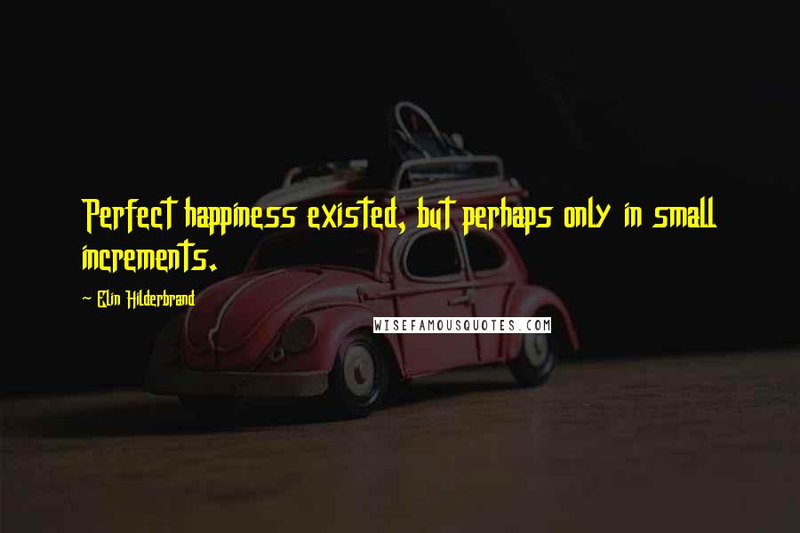 Elin Hilderbrand Quotes: Perfect happiness existed, but perhaps only in small increments.