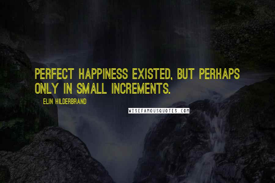 Elin Hilderbrand Quotes: Perfect happiness existed, but perhaps only in small increments.