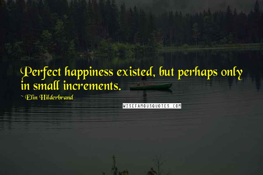 Elin Hilderbrand Quotes: Perfect happiness existed, but perhaps only in small increments.