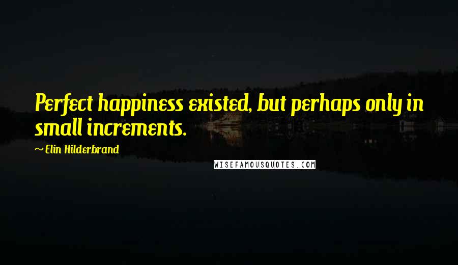 Elin Hilderbrand Quotes: Perfect happiness existed, but perhaps only in small increments.