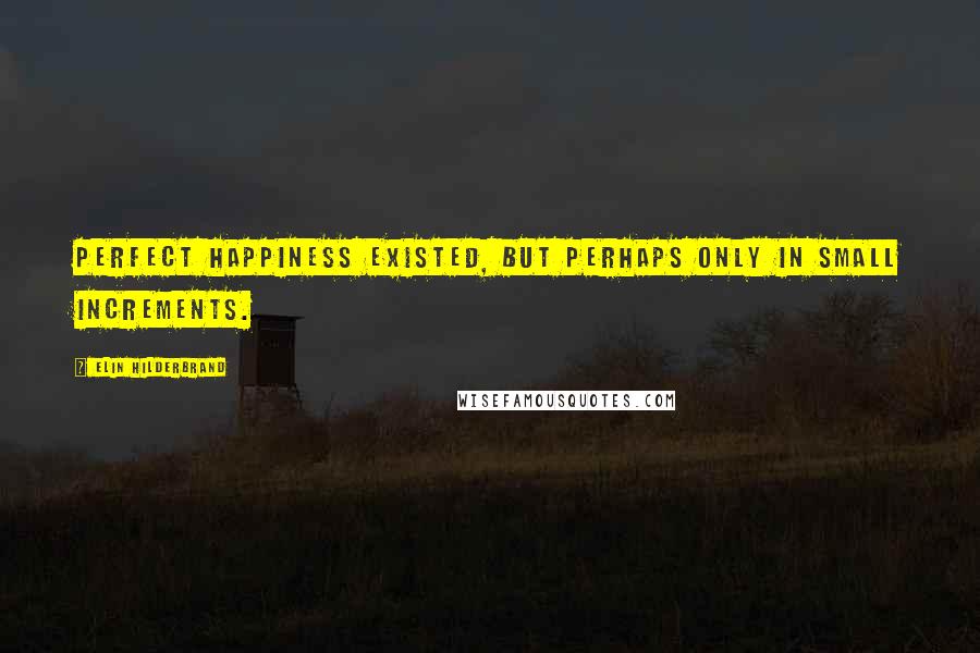 Elin Hilderbrand Quotes: Perfect happiness existed, but perhaps only in small increments.