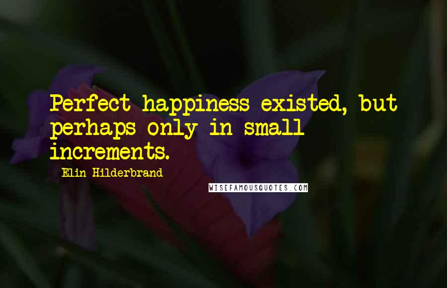 Elin Hilderbrand Quotes: Perfect happiness existed, but perhaps only in small increments.