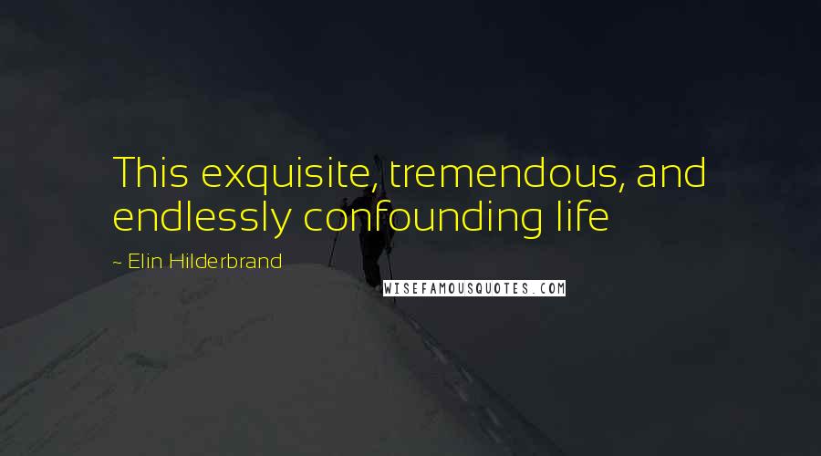 Elin Hilderbrand Quotes: This exquisite, tremendous, and endlessly confounding life