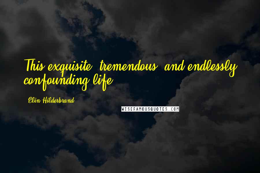 Elin Hilderbrand Quotes: This exquisite, tremendous, and endlessly confounding life
