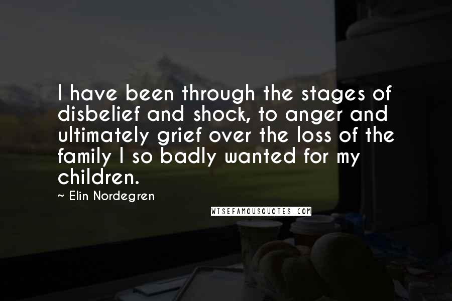 Elin Nordegren Quotes: I have been through the stages of disbelief and shock, to anger and ultimately grief over the loss of the family I so badly wanted for my children.