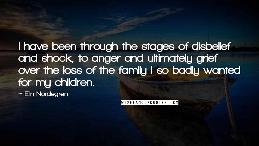 Elin Nordegren Quotes: I have been through the stages of disbelief and shock, to anger and ultimately grief over the loss of the family I so badly wanted for my children.