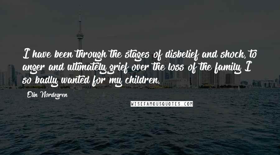 Elin Nordegren Quotes: I have been through the stages of disbelief and shock, to anger and ultimately grief over the loss of the family I so badly wanted for my children.