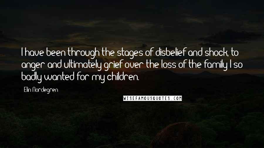 Elin Nordegren Quotes: I have been through the stages of disbelief and shock, to anger and ultimately grief over the loss of the family I so badly wanted for my children.