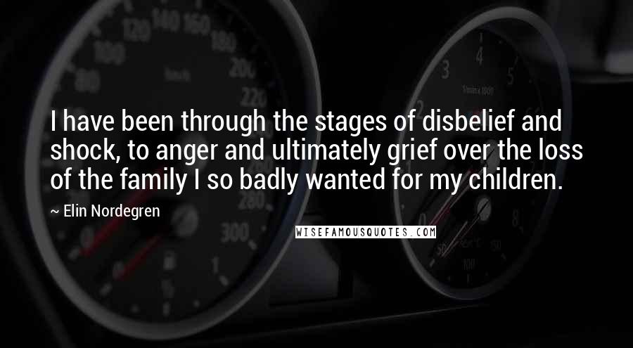 Elin Nordegren Quotes: I have been through the stages of disbelief and shock, to anger and ultimately grief over the loss of the family I so badly wanted for my children.