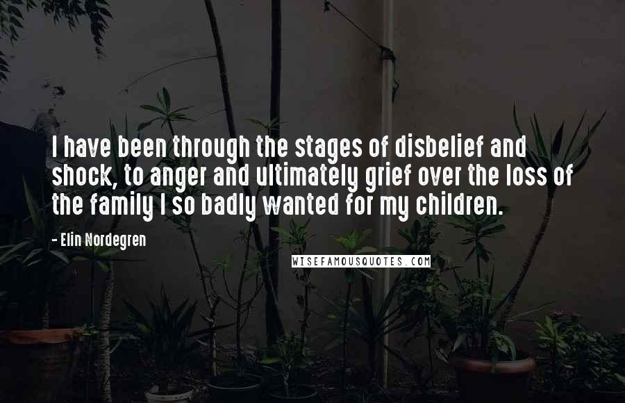 Elin Nordegren Quotes: I have been through the stages of disbelief and shock, to anger and ultimately grief over the loss of the family I so badly wanted for my children.