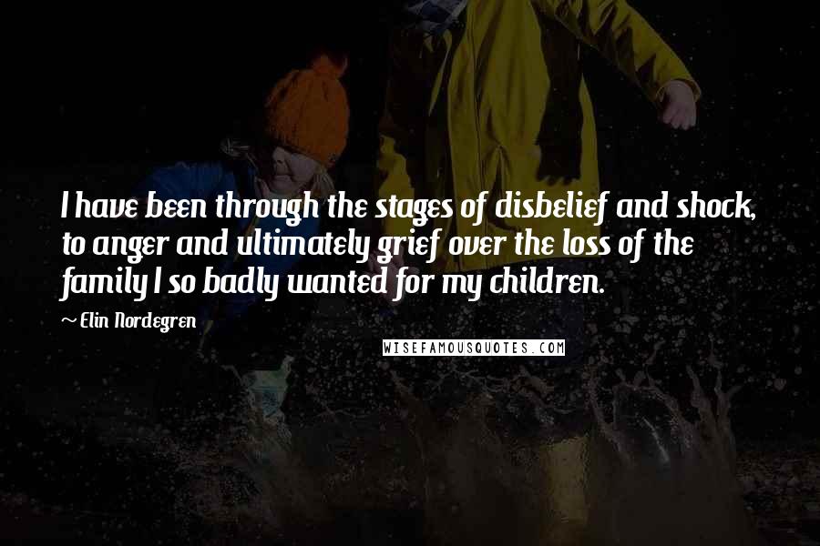 Elin Nordegren Quotes: I have been through the stages of disbelief and shock, to anger and ultimately grief over the loss of the family I so badly wanted for my children.