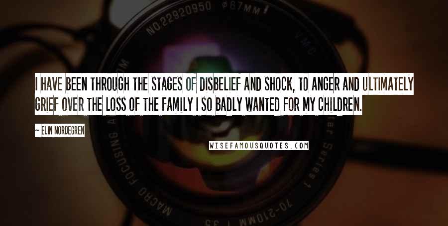 Elin Nordegren Quotes: I have been through the stages of disbelief and shock, to anger and ultimately grief over the loss of the family I so badly wanted for my children.