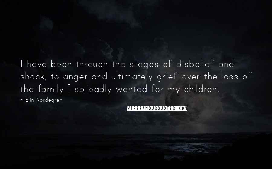 Elin Nordegren Quotes: I have been through the stages of disbelief and shock, to anger and ultimately grief over the loss of the family I so badly wanted for my children.