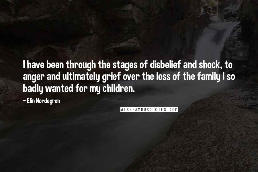 Elin Nordegren Quotes: I have been through the stages of disbelief and shock, to anger and ultimately grief over the loss of the family I so badly wanted for my children.