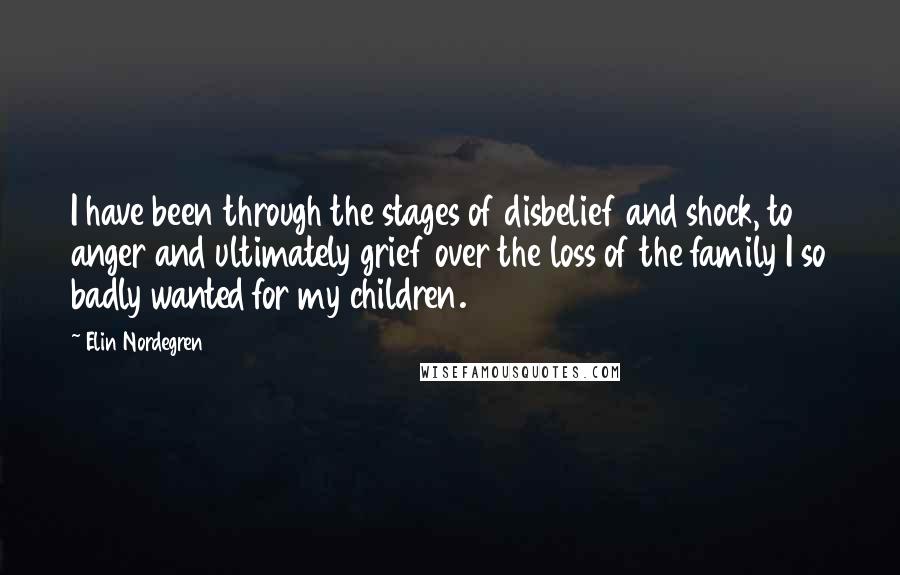 Elin Nordegren Quotes: I have been through the stages of disbelief and shock, to anger and ultimately grief over the loss of the family I so badly wanted for my children.