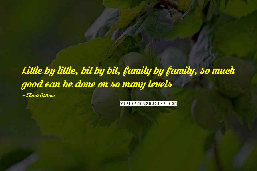 Elinor Ostrom Quotes: Little by little, bit by bit, family by family, so much good can be done on so many levels