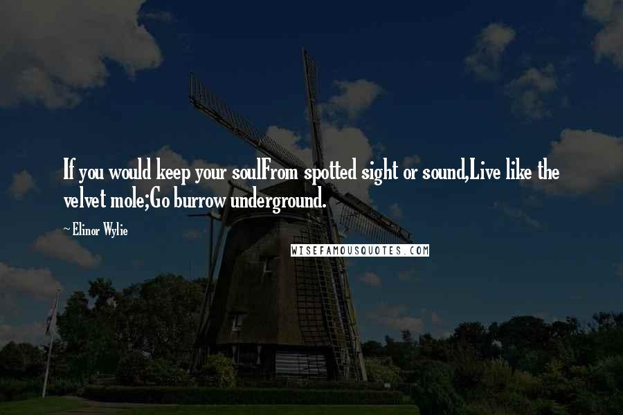 Elinor Wylie Quotes: If you would keep your soulFrom spotted sight or sound,Live like the velvet mole;Go burrow underground.