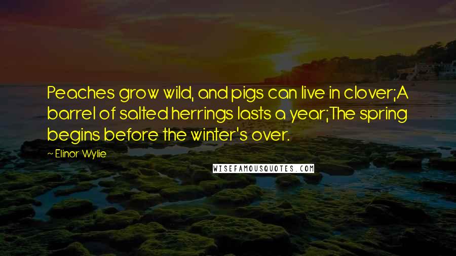 Elinor Wylie Quotes: Peaches grow wild, and pigs can live in clover;A barrel of salted herrings lasts a year;The spring begins before the winter's over.