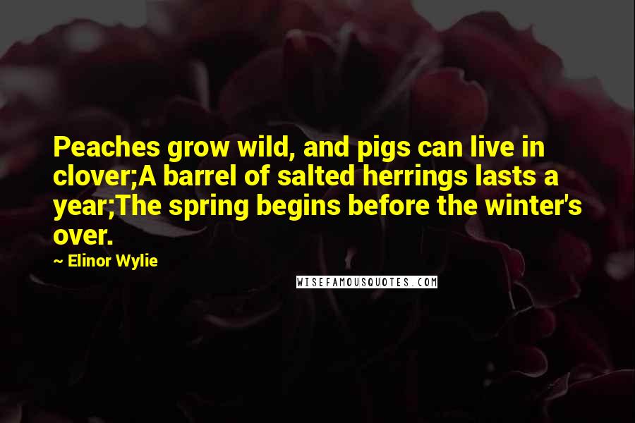 Elinor Wylie Quotes: Peaches grow wild, and pigs can live in clover;A barrel of salted herrings lasts a year;The spring begins before the winter's over.