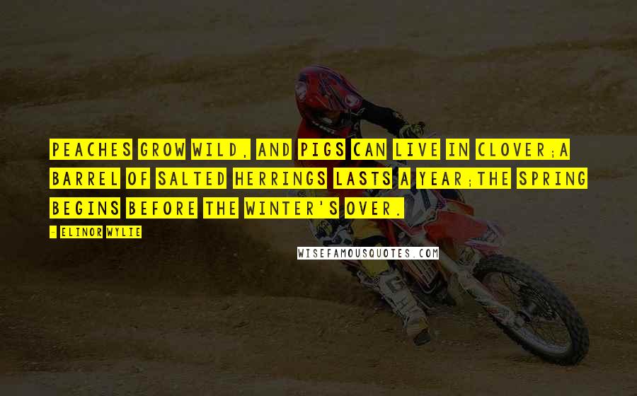 Elinor Wylie Quotes: Peaches grow wild, and pigs can live in clover;A barrel of salted herrings lasts a year;The spring begins before the winter's over.