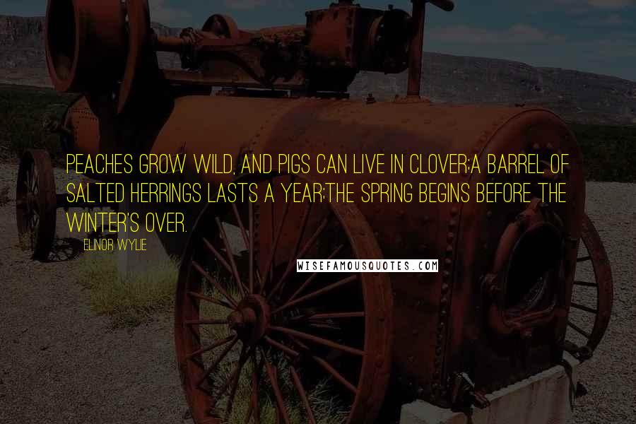 Elinor Wylie Quotes: Peaches grow wild, and pigs can live in clover;A barrel of salted herrings lasts a year;The spring begins before the winter's over.