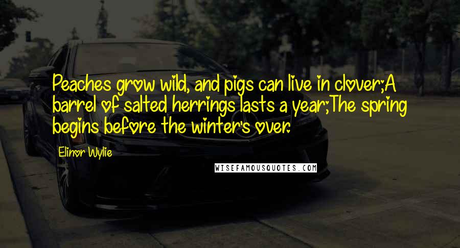 Elinor Wylie Quotes: Peaches grow wild, and pigs can live in clover;A barrel of salted herrings lasts a year;The spring begins before the winter's over.