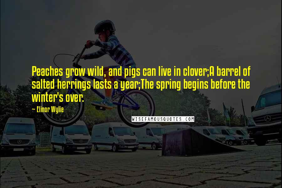Elinor Wylie Quotes: Peaches grow wild, and pigs can live in clover;A barrel of salted herrings lasts a year;The spring begins before the winter's over.