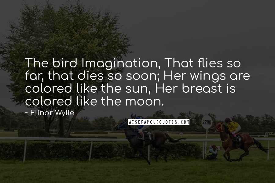 Elinor Wylie Quotes: The bird Imagination, That flies so far, that dies so soon; Her wings are colored like the sun, Her breast is colored like the moon.