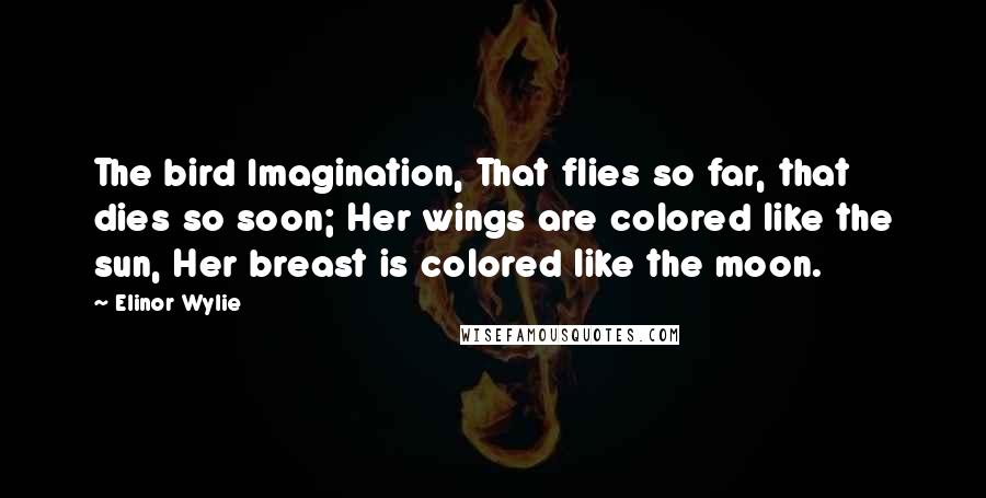 Elinor Wylie Quotes: The bird Imagination, That flies so far, that dies so soon; Her wings are colored like the sun, Her breast is colored like the moon.