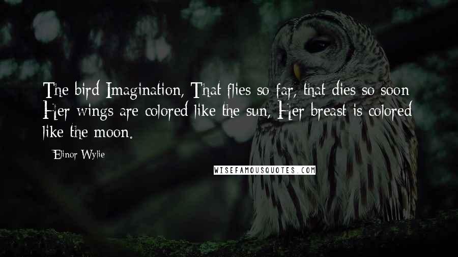 Elinor Wylie Quotes: The bird Imagination, That flies so far, that dies so soon; Her wings are colored like the sun, Her breast is colored like the moon.