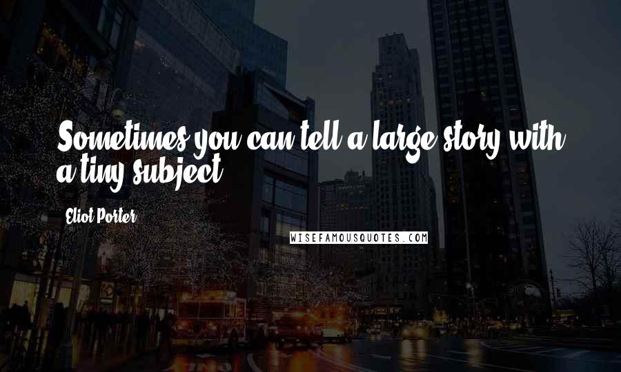 Eliot Porter Quotes: Sometimes you can tell a large story with a tiny subject.