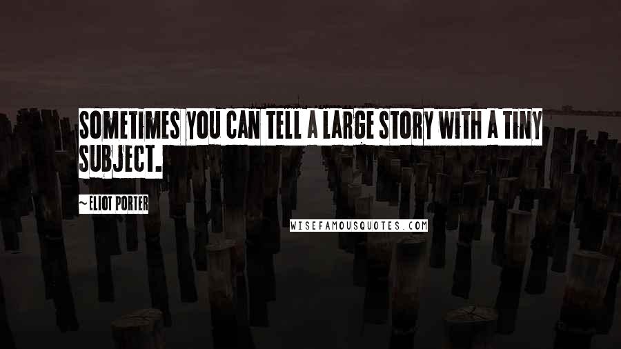 Eliot Porter Quotes: Sometimes you can tell a large story with a tiny subject.