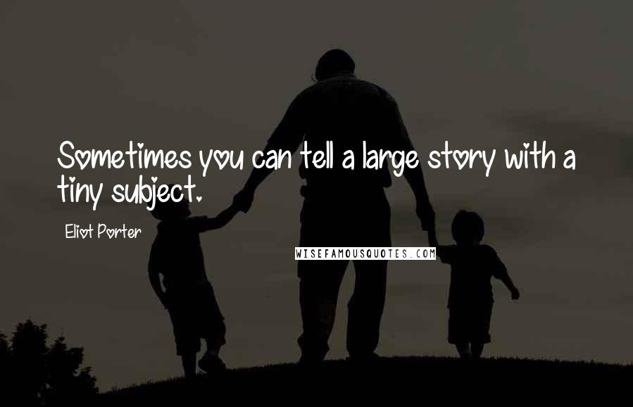 Eliot Porter Quotes: Sometimes you can tell a large story with a tiny subject.