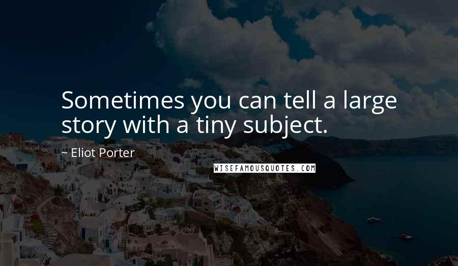 Eliot Porter Quotes: Sometimes you can tell a large story with a tiny subject.