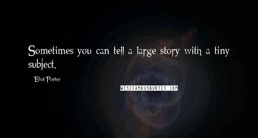 Eliot Porter Quotes: Sometimes you can tell a large story with a tiny subject.