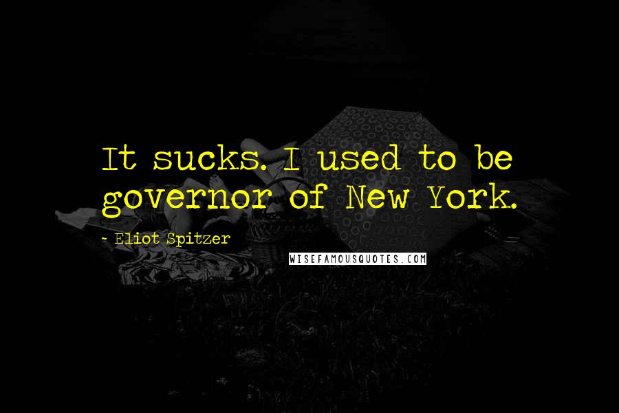 Eliot Spitzer Quotes: It sucks. I used to be governor of New York.