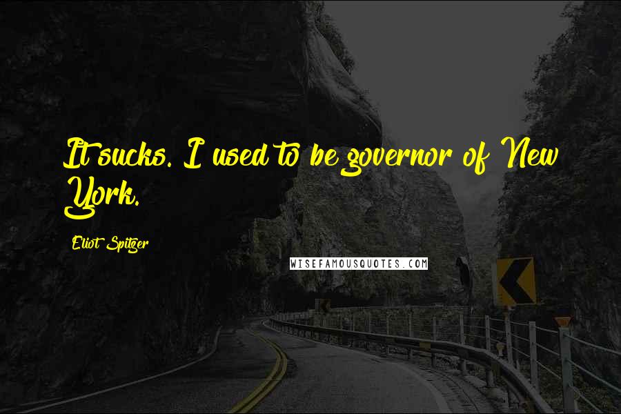 Eliot Spitzer Quotes: It sucks. I used to be governor of New York.