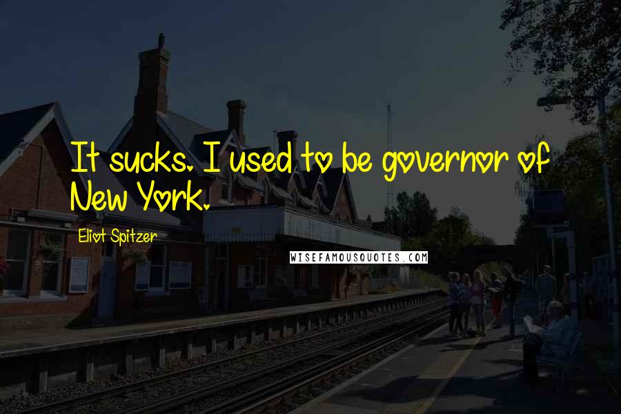 Eliot Spitzer Quotes: It sucks. I used to be governor of New York.