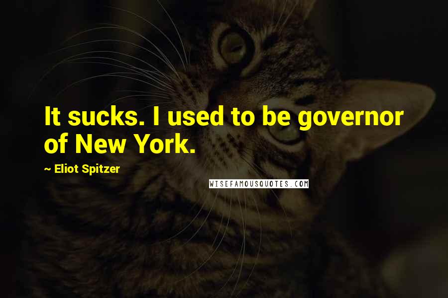 Eliot Spitzer Quotes: It sucks. I used to be governor of New York.