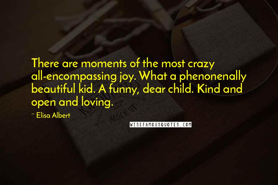 Elisa Albert Quotes: There are moments of the most crazy all-encompassing joy. What a phenonenally beautiful kid. A funny, dear child. Kind and open and loving.
