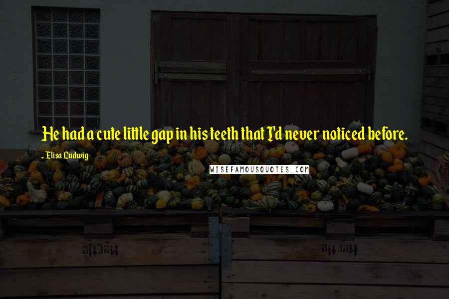 Elisa Ludwig Quotes: He had a cute little gap in his teeth that I'd never noticed before.