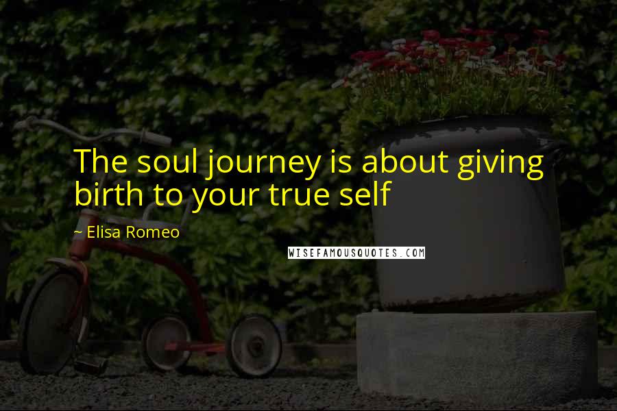 Elisa Romeo Quotes: The soul journey is about giving birth to your true self