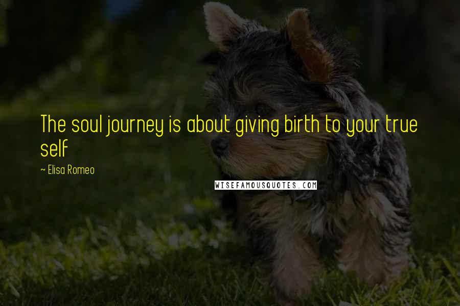 Elisa Romeo Quotes: The soul journey is about giving birth to your true self