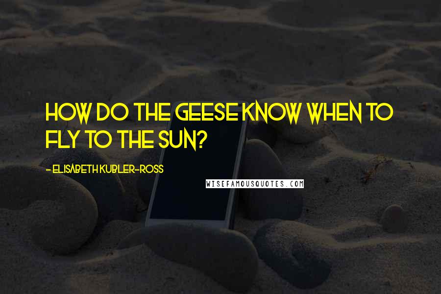 Elisabeth Kubler-Ross Quotes: How do the geese know when to fly to the sun?