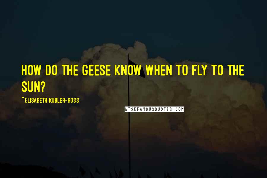 Elisabeth Kubler-Ross Quotes: How do the geese know when to fly to the sun?