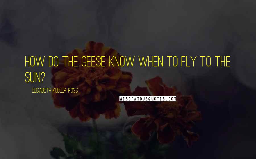 Elisabeth Kubler-Ross Quotes: How do the geese know when to fly to the sun?