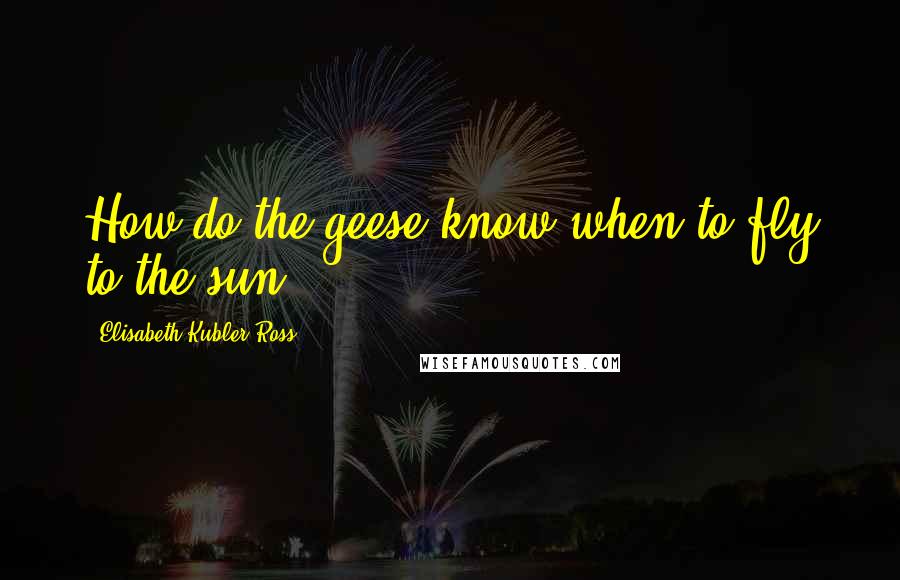 Elisabeth Kubler-Ross Quotes: How do the geese know when to fly to the sun?