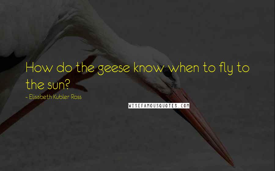 Elisabeth Kubler-Ross Quotes: How do the geese know when to fly to the sun?