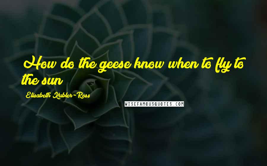 Elisabeth Kubler-Ross Quotes: How do the geese know when to fly to the sun?