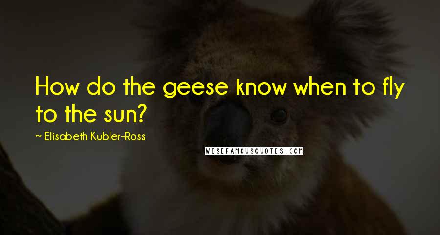 Elisabeth Kubler-Ross Quotes: How do the geese know when to fly to the sun?